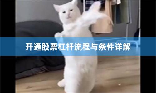 开通股票杠杆流程与条件详解