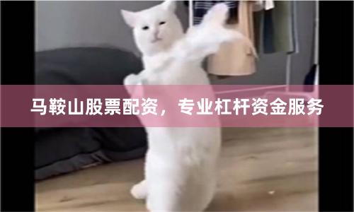 马鞍山股票配资，专业杠杆资金服务