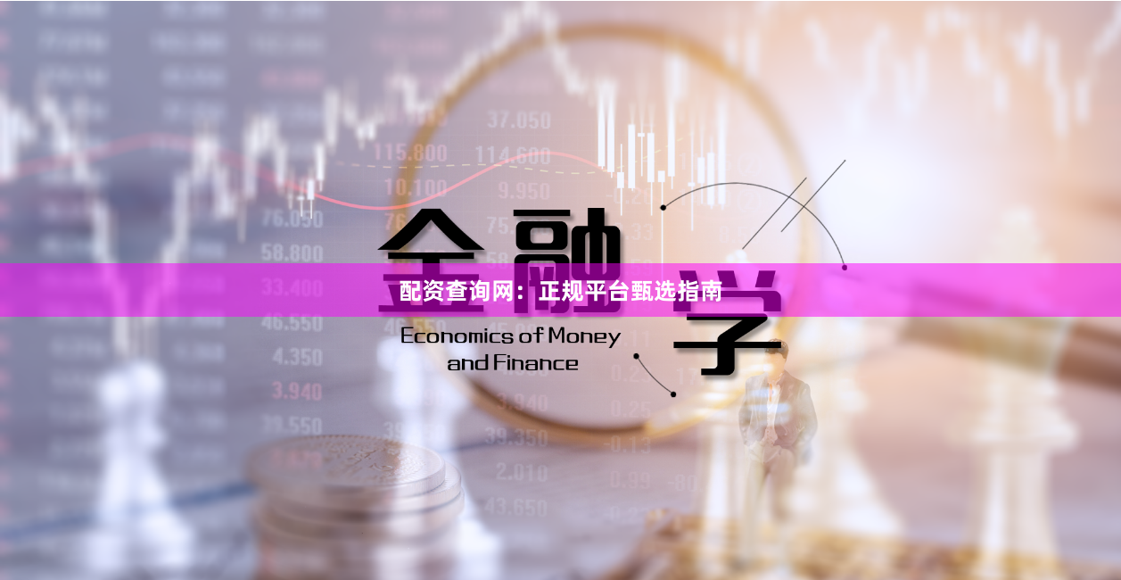 配资查询网：正规平台甄选指南